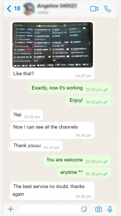 WhatsApp conversation with a subscriber, screenshot 9 of 8